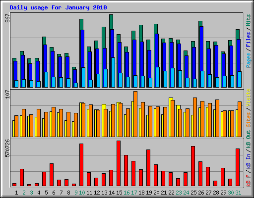 Daily usage for January 2010