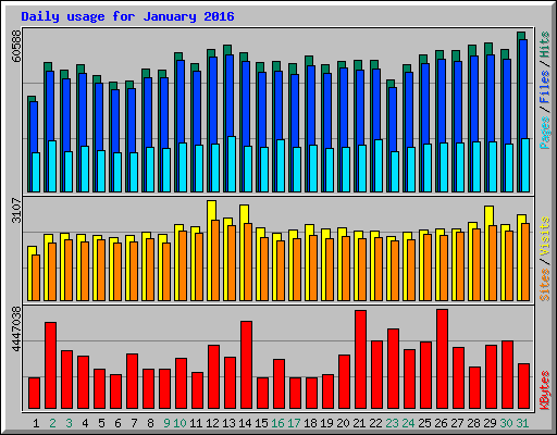 Daily usage for January 2016