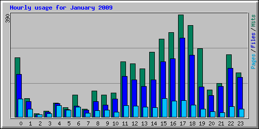 Hourly usage for January 2009