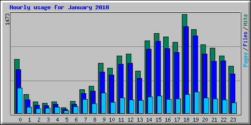 Hourly usage for January 2010