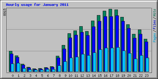 Hourly usage for January 2011