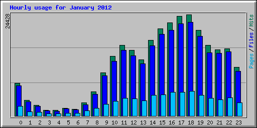 Hourly usage for January 2012
