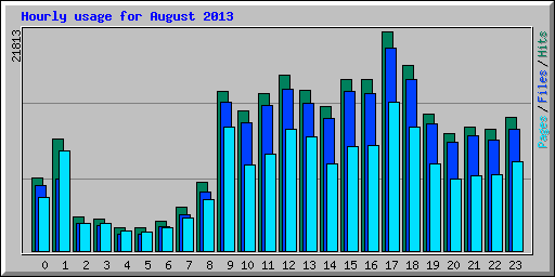 Hourly usage for August 2013