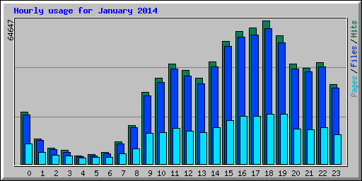 Hourly usage for January 2014