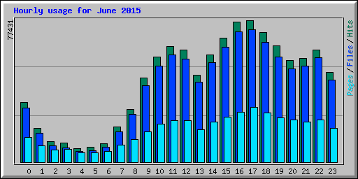 Hourly usage for June 2015