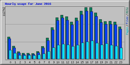 Hourly usage for June 2016